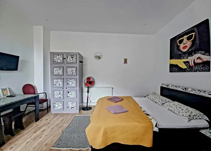 Apartment Brasov Central Studio Brasov