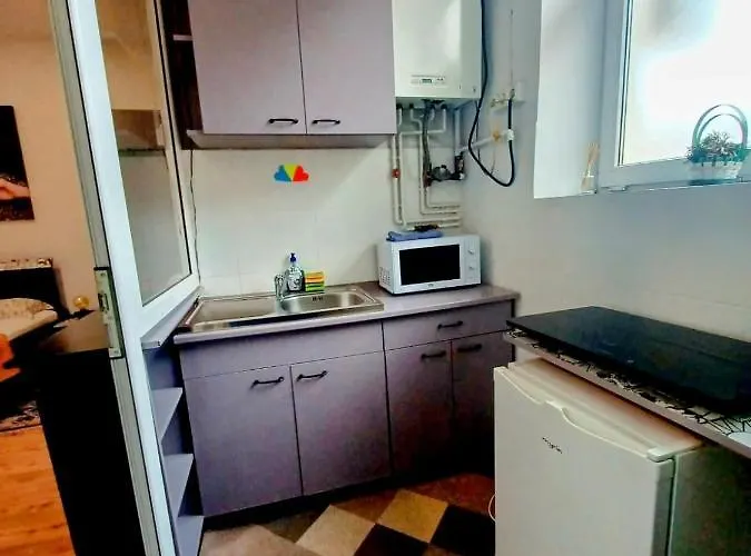 Brasov Central Studio Apartament